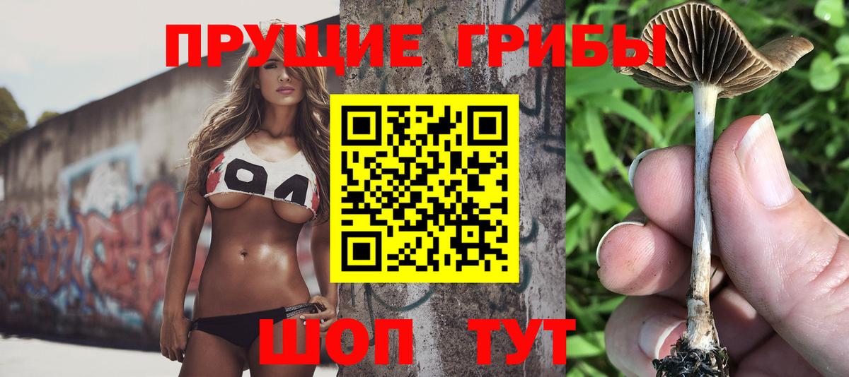 Псилоцибиновые грибы Magic Shrooms Красноармейск