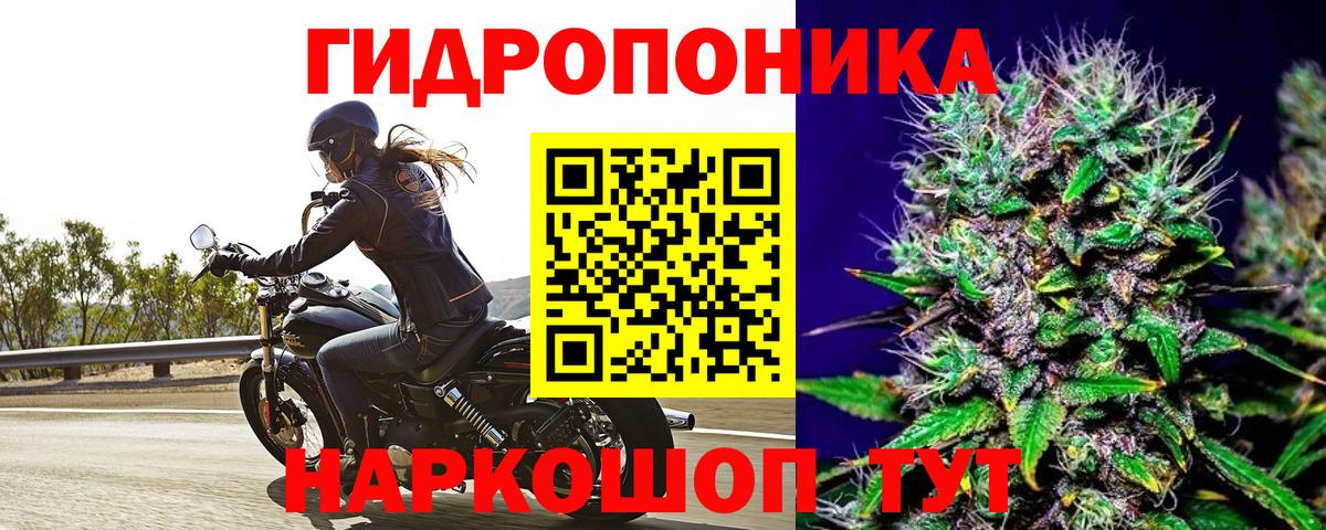 Конопля гибрид  Бошки марихуана конопля  Красноармейск  Вход с VPN 